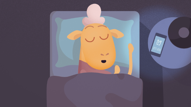 Shleep